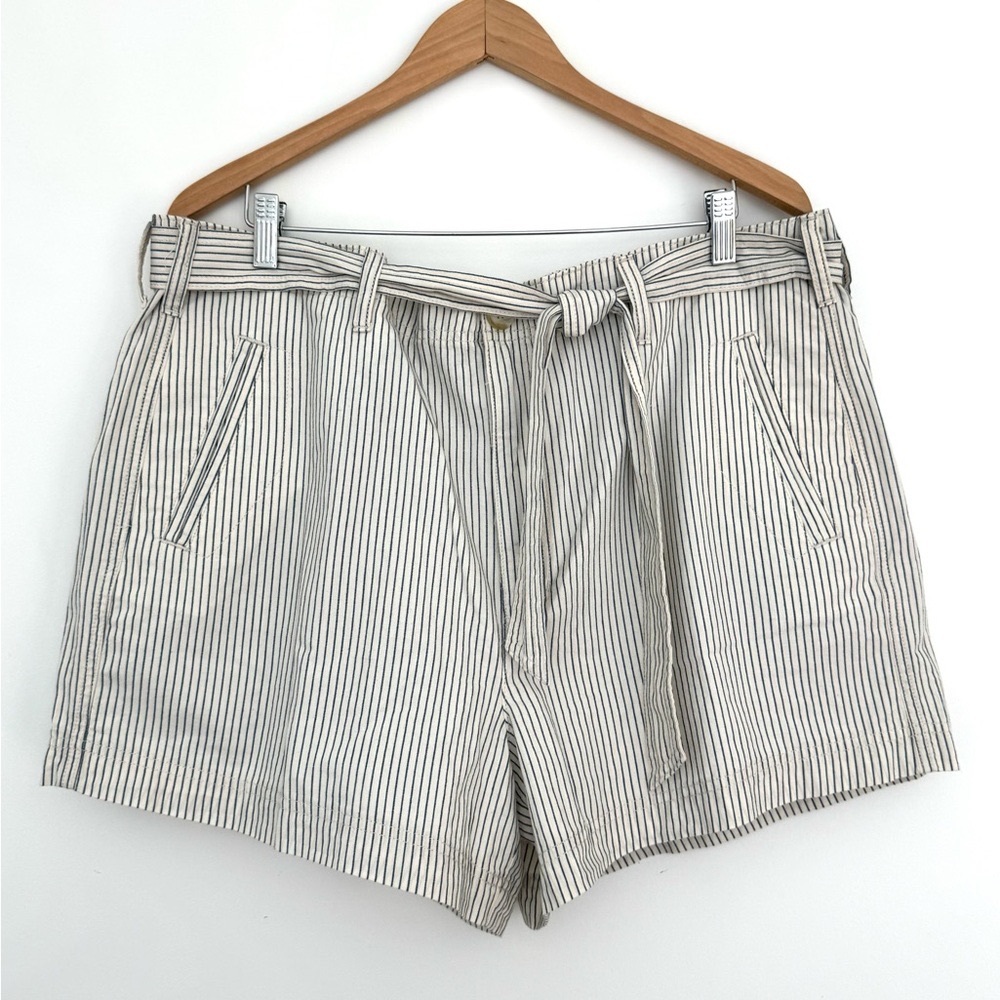 American Eagle Outfitters Tan and Blue High Waist Shorts